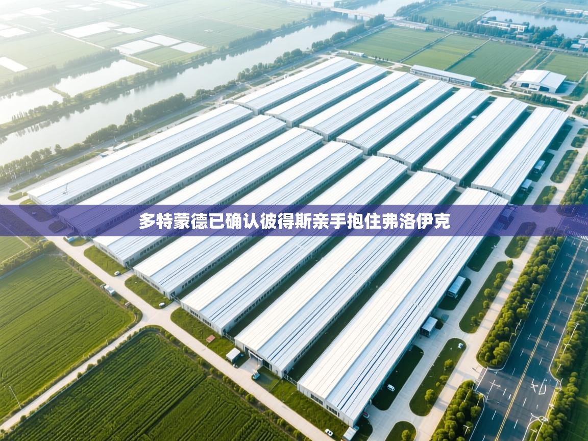 多特蒙德已确认彼得斯亲手抱住弗洛伊克  第2张